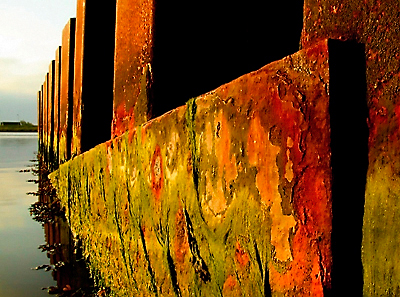 BEAUTY IN DECAY